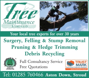 Tree Maintenance Ad 2015